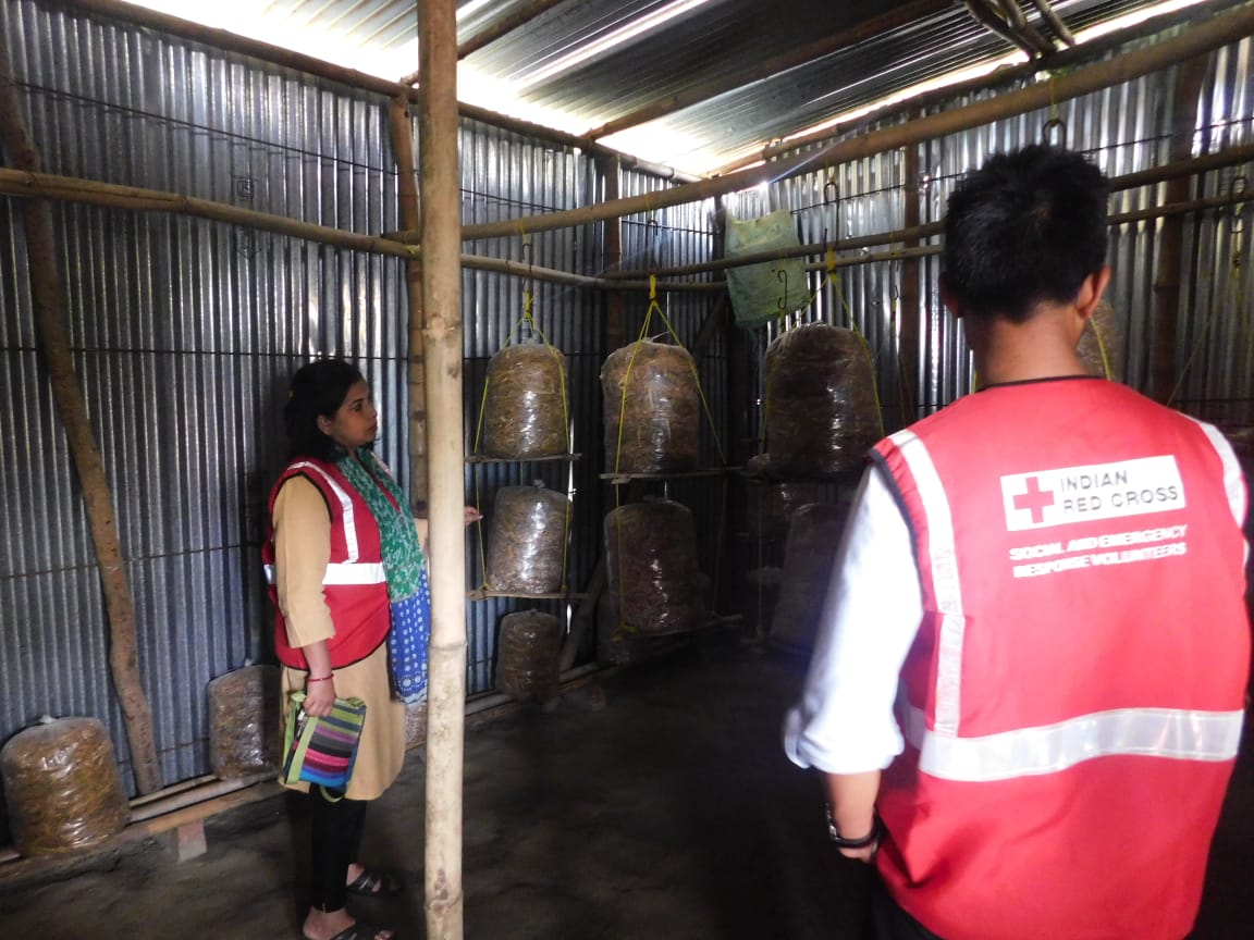 Mushroom Cultivation